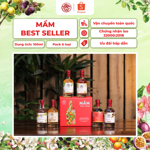 MẦM MINI COLLECTION BESTSELLER - Ảnh 2