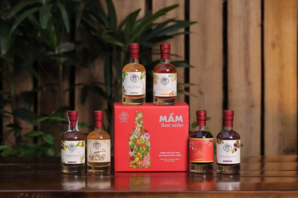 MẦM MINI COLLECTION BESTSELLER - Ảnh 3
