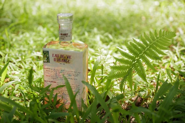 EAU DE VIE D'ORANGE - Ảnh 3