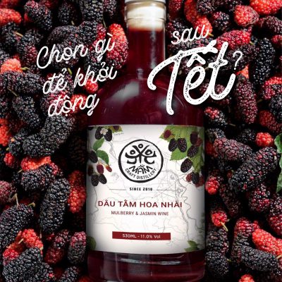 Rượu Dâu Tằm Hoa Nhài: Vị Dịu Để Bắt Đầu Năm